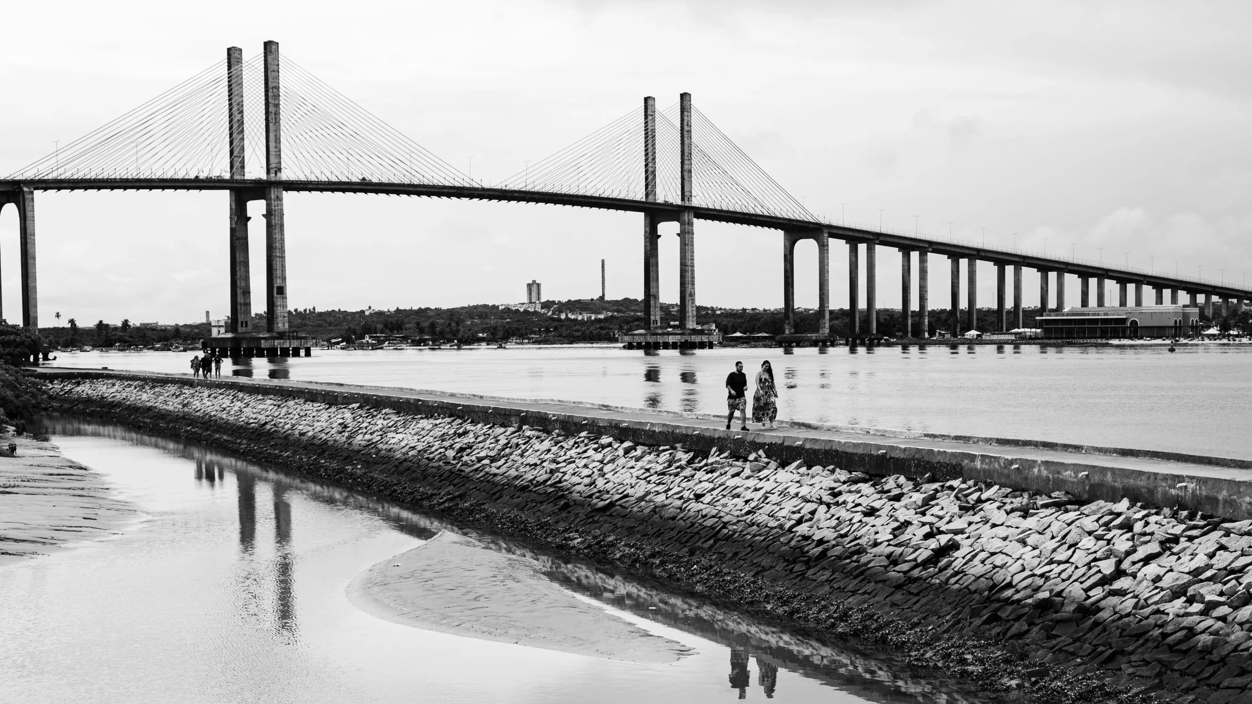 flamengo-volta-a-ter-prefeito-do-rio-como-torcedor-após-43-anos-paes-critica-3