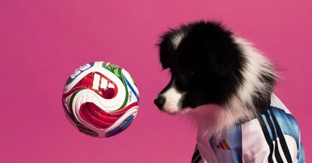 adidas-lança-coleção-especial-de-camisas-da-copa-2026-para-pets-1