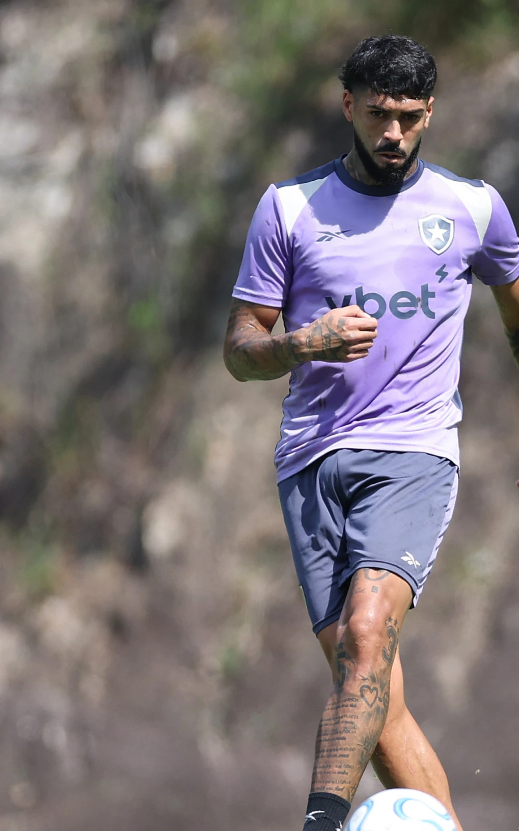 Botafogo deve buscar reposição a Barboza e um novo goleiro em janela de junho | Botafogo | O Dia