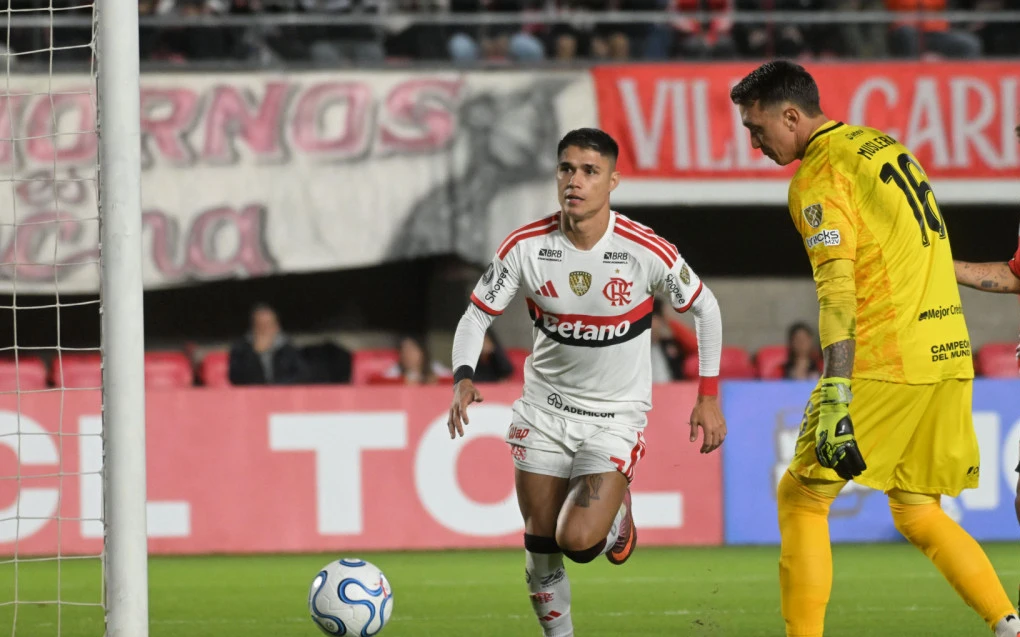 Jogo do Flamengo registra maior audiência do ano da Libertadores na Globo | Flamengo | O Dia