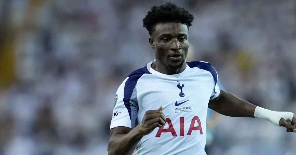 Meia do Tottenham pode perder Copa do Mundo por lesão | CNN Brasil