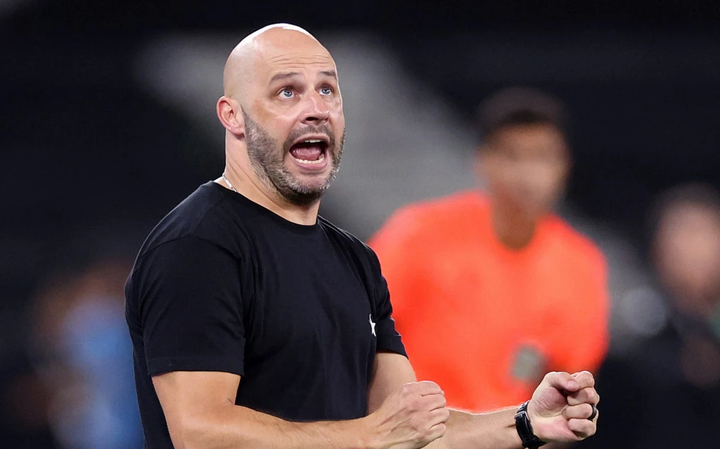 Primeira vitória de Franclim em casa sela melhor sequência do Botafogo no ano | Botafogo | O Dia