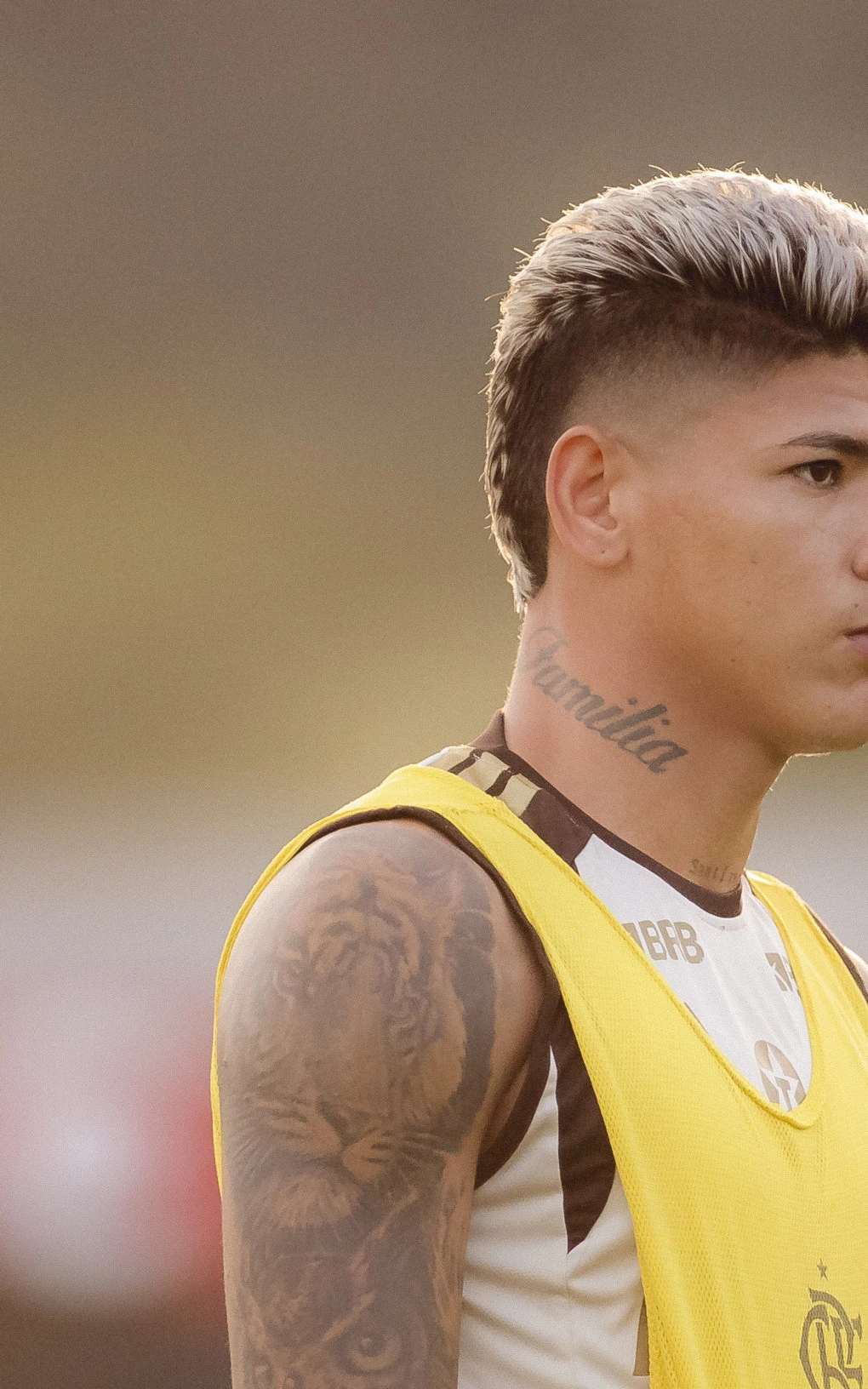 STJD reduz punição, mas Carrascal desfalcará Flamengo em três jogos | Flamengo | O Dia