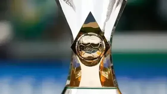 Torcida e campo do Estádio Nilton Santos durante partida do Brasileirão, com bandeiras e torcida nas arquibancadas