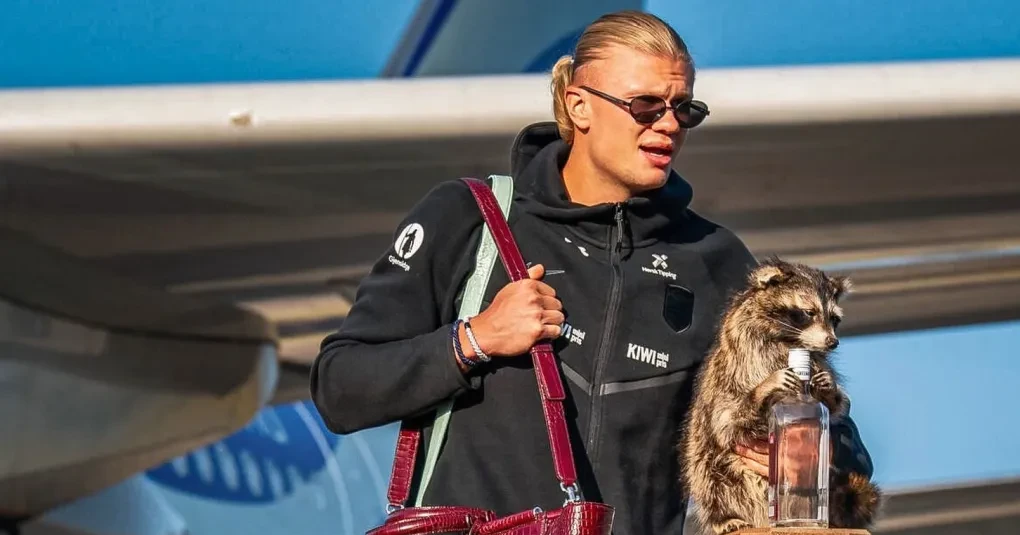 Erling Haaland desembarcando em Oslo segurando guaxinim de pelúcia e garrafa de whisky